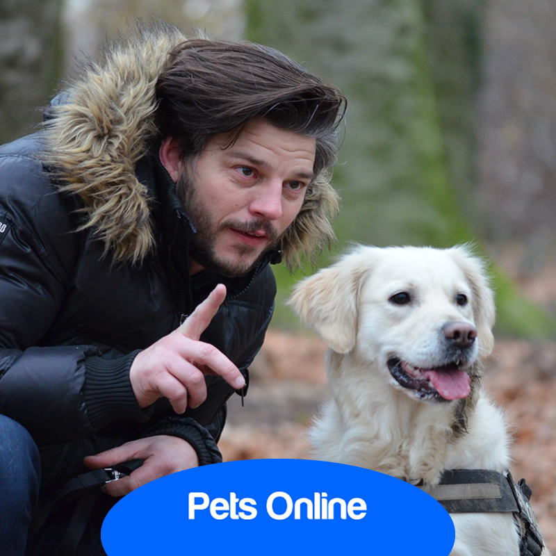 Instagram do Pets Online